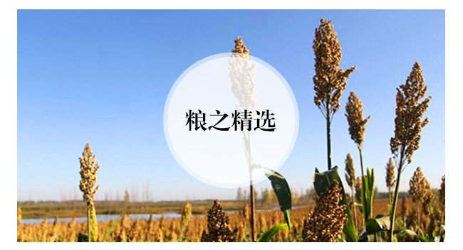 ����Ѿơ���Ʒ�����