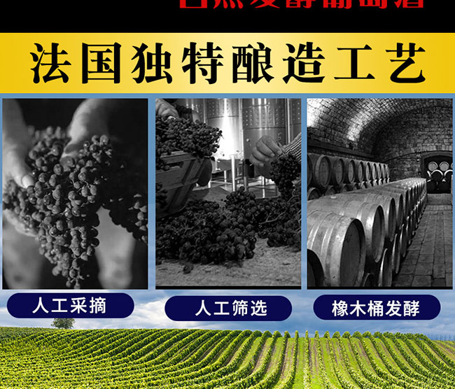 ���D���ظɼt���Ѿ�