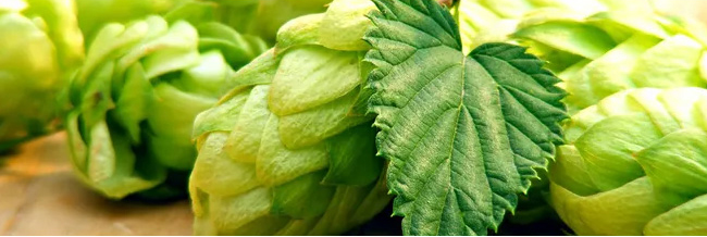 ȫ��ѿ���ԭ�{