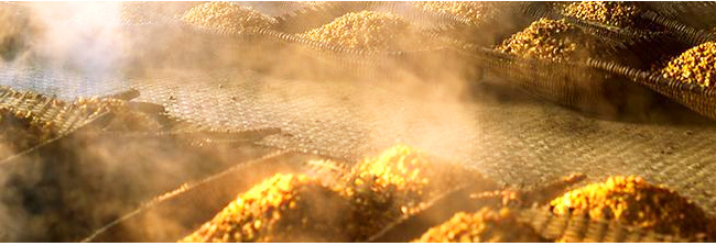 ȫ��ѿ���ԭ�{