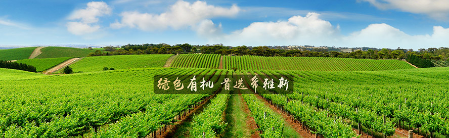 ���_ϣ��˹���Ѿ����޹�˾