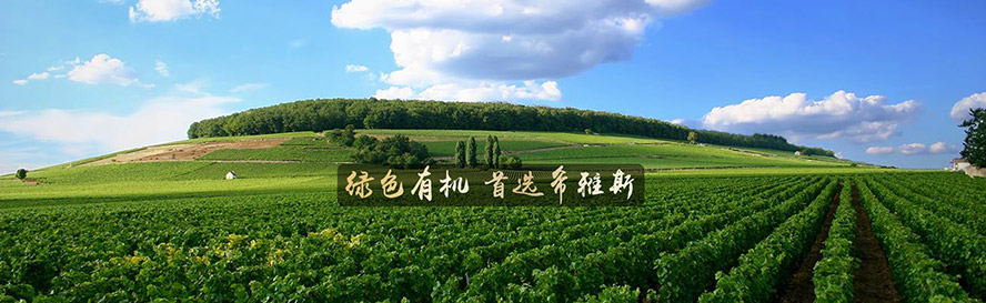 ���_ϣ��˹���Ѿ����޹�˾