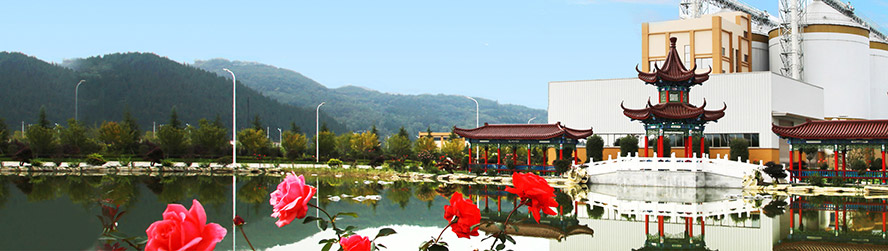 ���C��վƘI(y��)���F(tu��n)���޹�˾