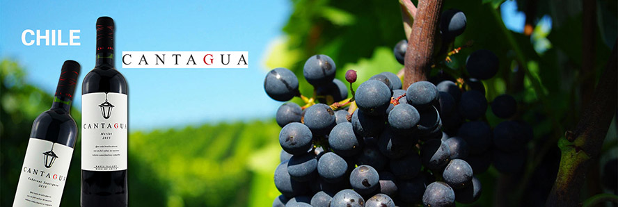 �����Ľ�ˮľ�ƘI(y��)���޹�˾