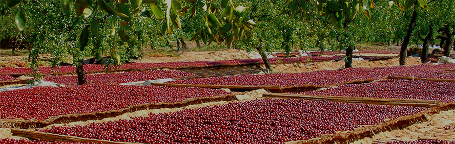 ɽ�|�R��ʢ���ƘI(y��)������޹�˾