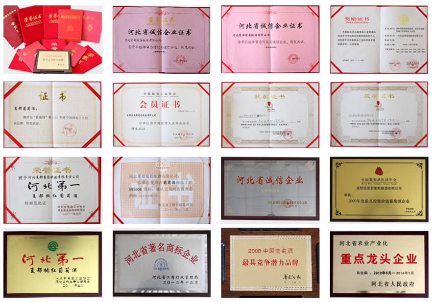 �ӱ��Ķ�����ᄾ����޹�˾